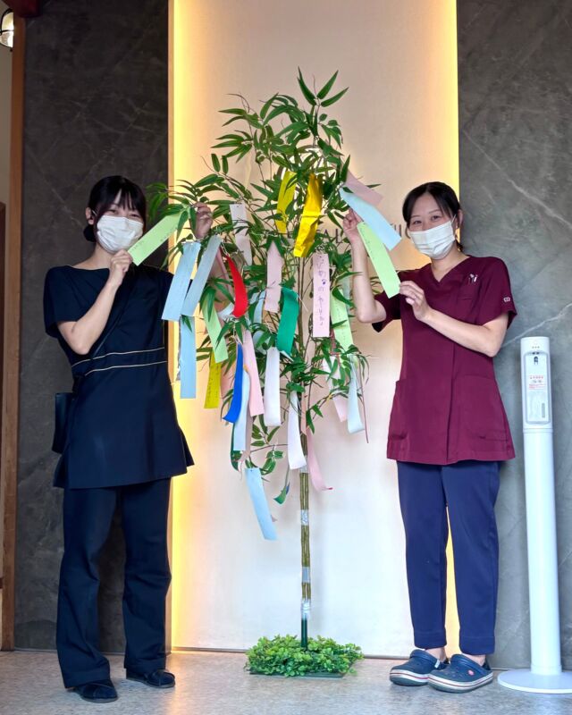 @masedental 🦷

こんにちは！間瀬デンタルクリニックです🦷🪥

七夕飾りをご用意しました🎋
ご来院の際は、ぜひ短冊に願いごとを書いてみてください😊

みなさまの願いが空まで届きますように🌟

お子さまはもちろん、大人の方もご参加いただけます♪

待ち時間にぜひお楽しみください！

＊＊＊

【医療法人社団幸陽会　間瀬デンタルクリニック】

〒293-0001 富津市大堀2-16-10
TEL 0439-87-8211
受付時間 8:30-17:30

＊＊＊

#間瀬デンタルクリニック #富津 #君津 #木更津 #歯医者 #歯科医院 #七夕 #彦星 #織姫 #イベント #短冊 #願いごと